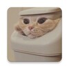 免费看片 